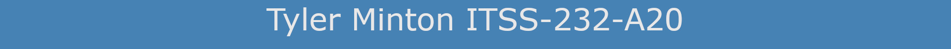 Tyler Minton ITSS-232-A20